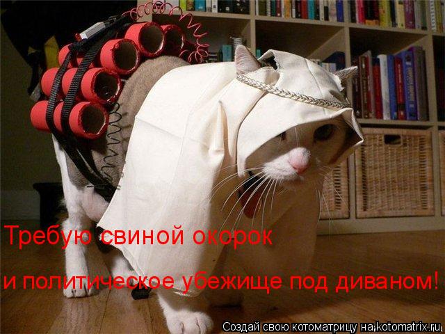 Котоматрица: Требую свиной окорок  и политическое убежище под диваном!