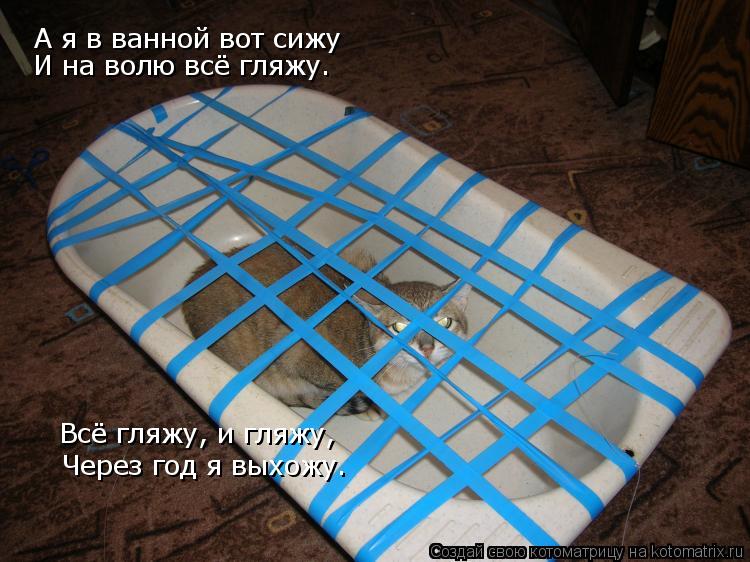 Котоматрица: А я в ванной вот сижу И на волю всё гляжу. Всё гляжу, и гляжу, Через год я выхожу.