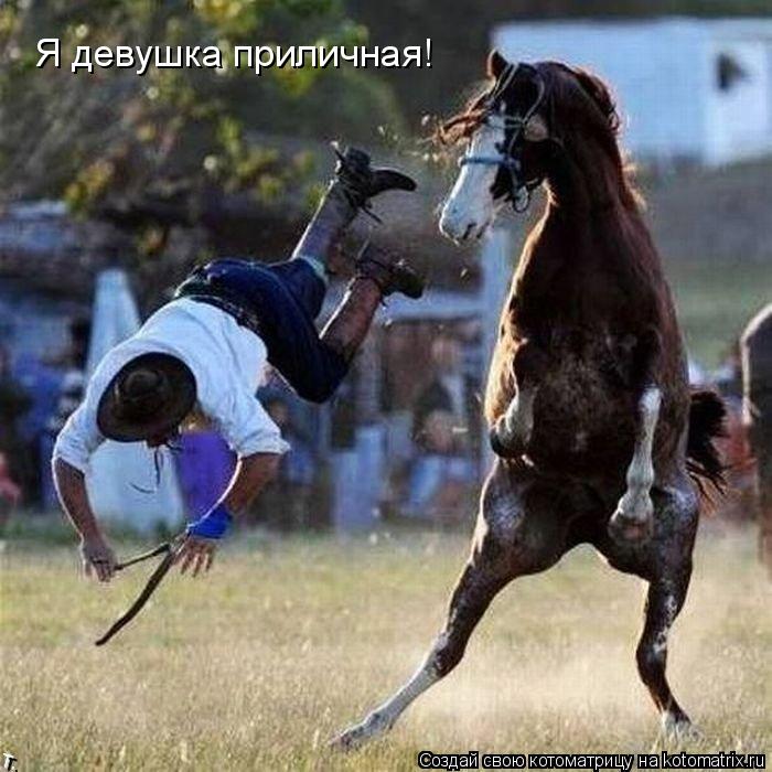 Котоматрица: Я девушка приличная!