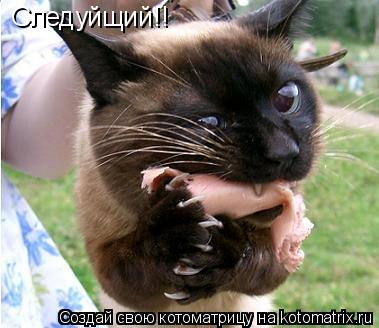 Котоматрица: Cледуйщий!!