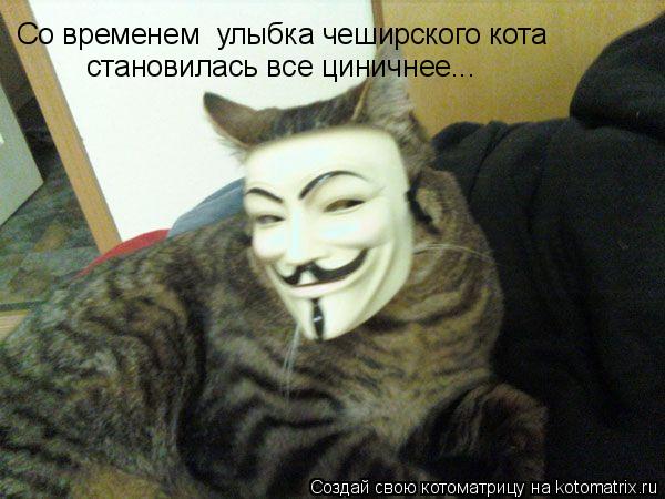 Со временем улыбка чеширского кота становилась все циничнее...... Котоматрица: Со временем улыбка чеширского кота становилась все циничнее...
