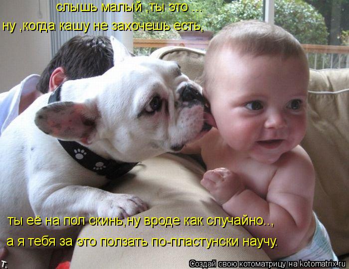 слышь малый ,ты это ... ну ,когда кашу не захочешь есть, ты её на пол скинь,ну вроде как случайно.., ... Котоматрица: слышь малый ,ты это ... ну ,когда кашу не захочешь есть, ты её на пол скинь,ну вроде как случайно.., а я тебя за это ползать по-пластунски научу.