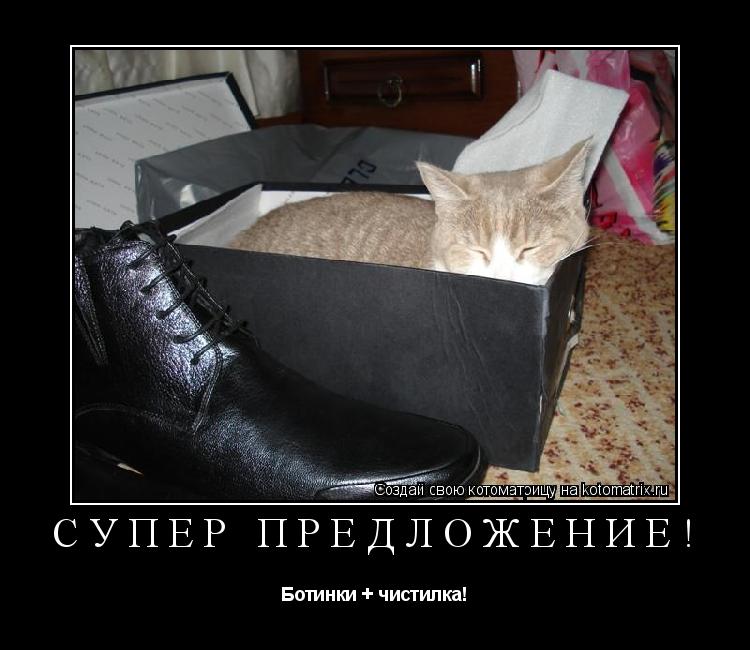 Котоматрица: Супер предложение! Ботинки + чистилка!