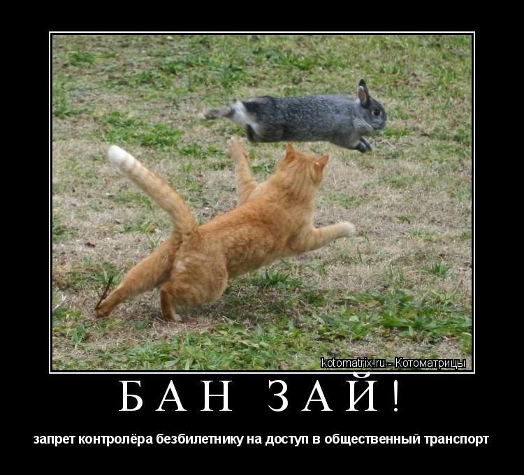 бан зай! запрет контролёра безбилетнику на доступ в общественный транспорт... Котоматрица: бан зай! запрет контролёра безбилетнику на доступ в общественный транспорт