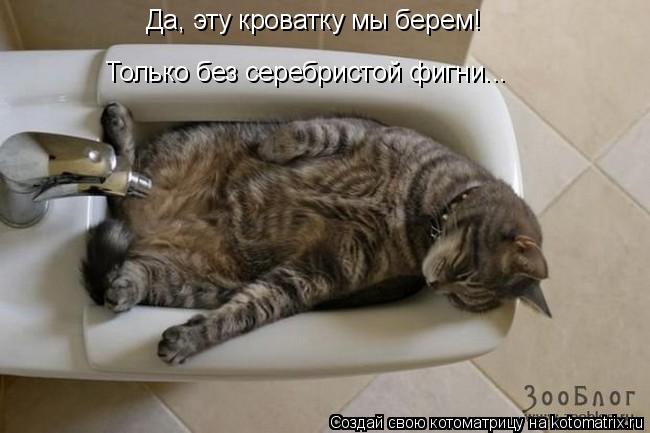 Котоматрица: Да, эту кроватку мы берем! Только без серебристой фигни...