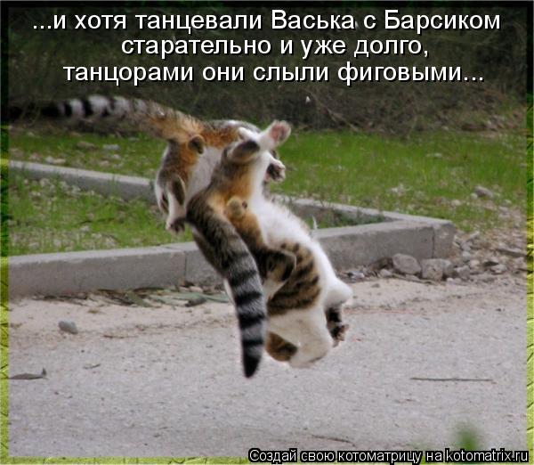 ...и хотя танцевали Васька с Барсиком старательно и уже долго, танцорами они слыли фиговыми...... Котоматрица: ...и хотя танцевали Васька с Барсиком старательно и уже долго, танцорами они слыли фиговыми...