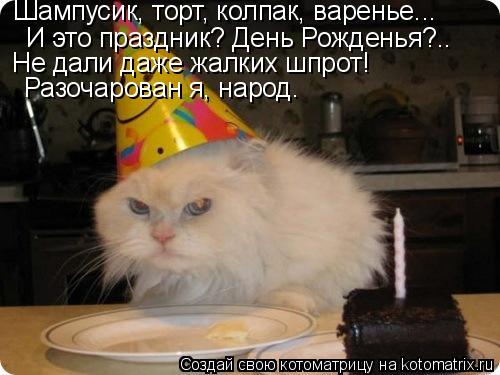 Котоматрица: Шампусик, торт, колпак, варенье... И это праздник? День Рожденья?.. Не дали даже жалких шпрот!  Разочарован я, народ.