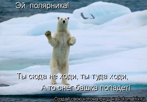 Котоматрица: Эй, полярника! Ты сюда не ходи, ты туда ходи, А то снег башка попадет!