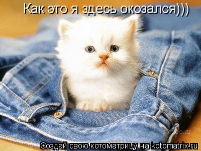 Котоматрица: Как это я здесь окозался)))