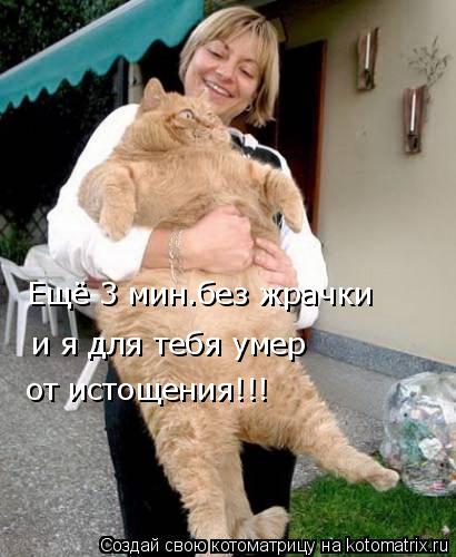Ещё 3 мин.без жрачки и я для тебя умер от истощения!!!... Котоматрица: Ещё 3 мин.без жрачки и я для тебя умер от истощения!!!