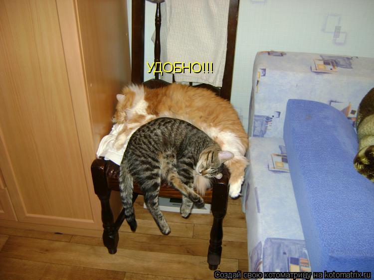 Котоматрица: УДОБНО!!!