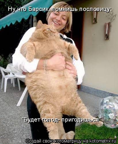 Котоматрица: Ну что Барсик, помнишь пословицу: "Будет голод- пригодишься"