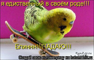 Котоматрица: я едиственный в своём роде!!! Блиннн!!!ПАДАЮ!!!