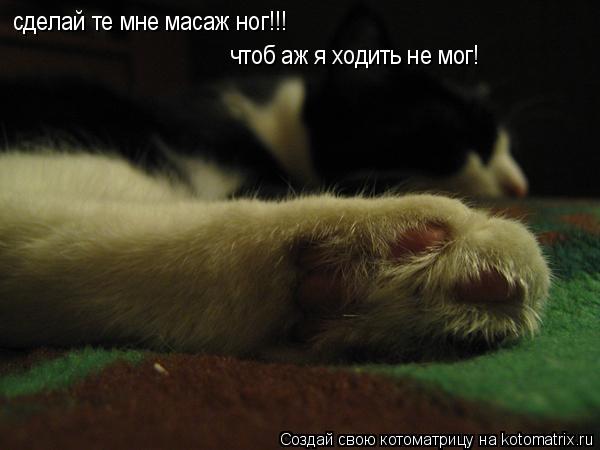 Котоматрица: сделай те мне масаж ног!!! чтоб аж я ходить не мог!