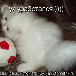 Котоматрица: ух уработался ))))