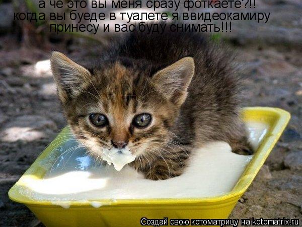 Котоматрица: а чё это вы меня сразу фоткаете?!! когда вы буеде в туалете я ввидеокамиру принесу и вас буду снимать!!!
