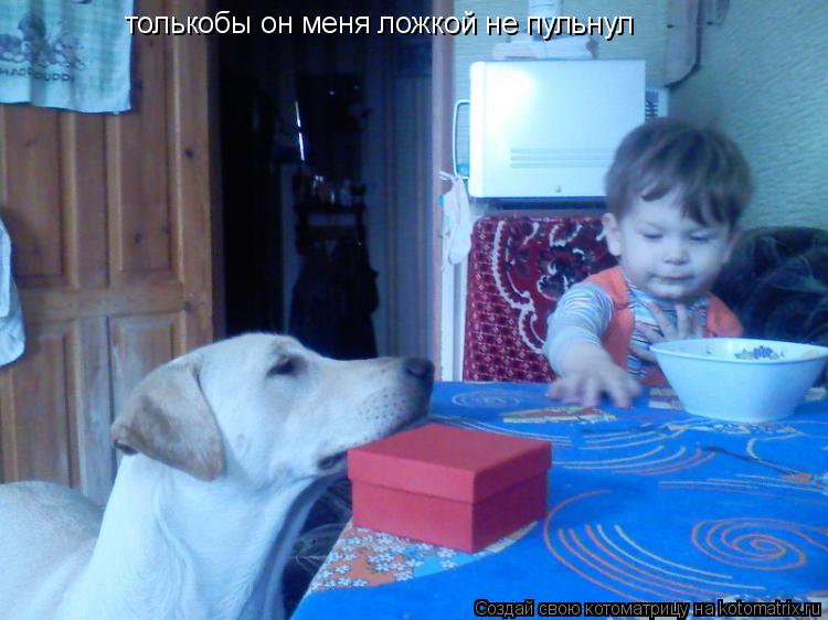 Котоматрица: толькобы он меня ложкой не пульнул