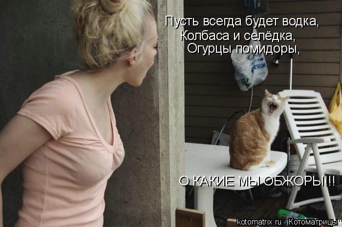 Котоматрица: Пусть всегда будет водкА, Пусть всегда будет водка, Колбаса и селёдка, Огурцы помидоры, О КАКИЕ МЫ ОБЖОРЫ!!!