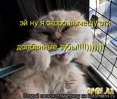 Котоматрица: эй ну я скоро вычищу эти  эй ну я скоро вычещу эй ну я скоро вычещу эти                                                        долбанные зубы!!!!)))))