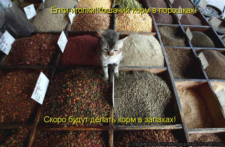 Котоматрица: Елки-иголки!Кошачий корм в порошках! Скоро будут делать корм в запахах!