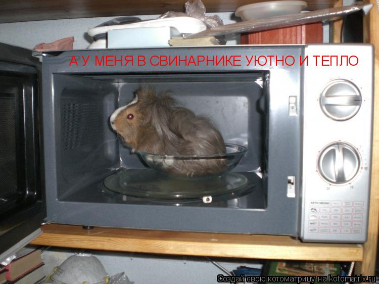 Котоматрица: А У МЕНЯ В СВИНАРНИКЕ УЮТНО И ТЕПЛО