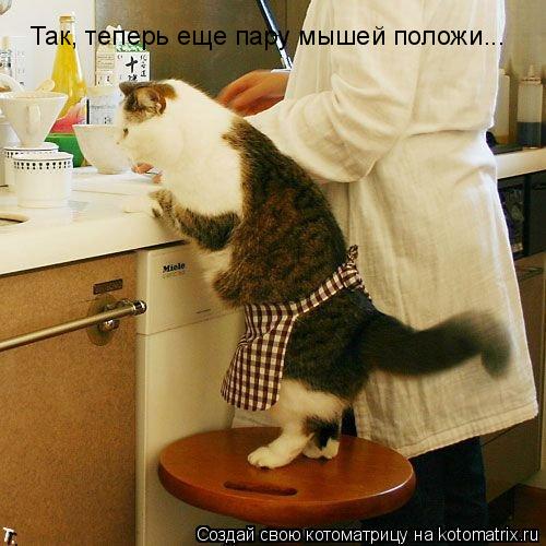 Так, теперь еще пару мышей положи...... Котоматрица: Так, теперь еще пару мышей положи...