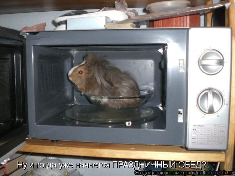 Котоматрица: Ну и когда уже начнется ПРАЗДНИЧНЫЙ ОБЕД?!