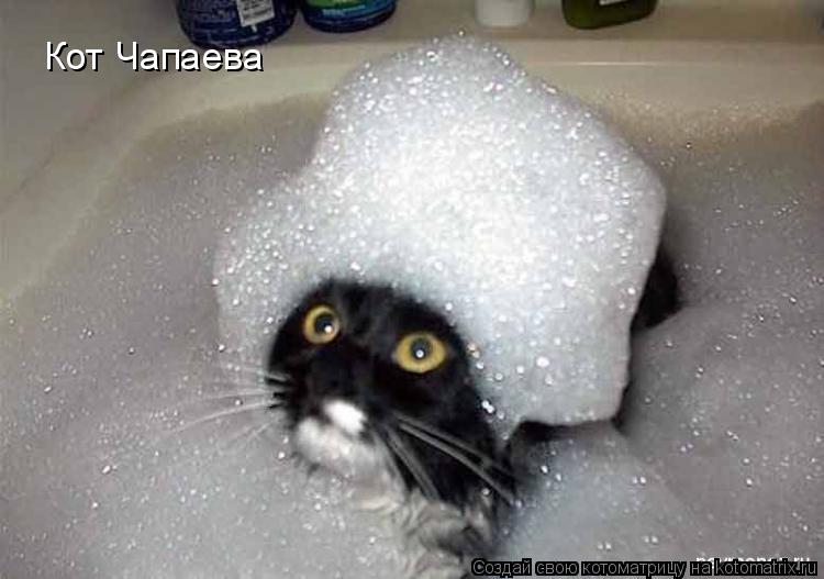 Котоматрица: Кот Чапаева
