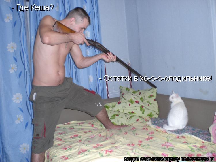 Котоматрица: - Где Кеша? - Остатки в хо-о-о-олодильнике!