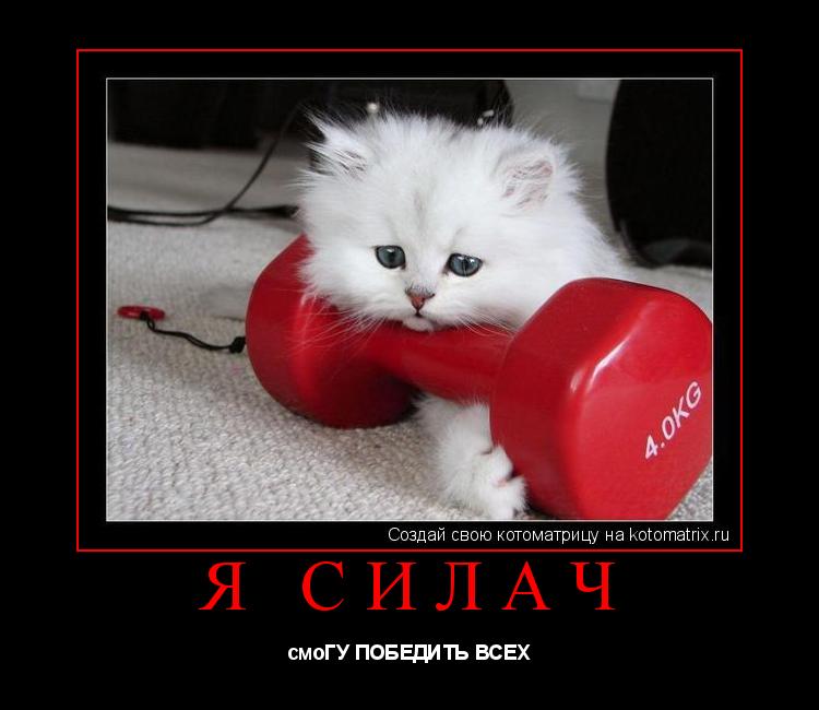 Котоматрица: я силач смоГУ ПОБЕДИТЬ ВСЕX
