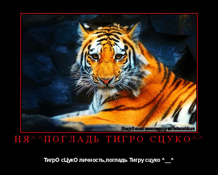 Котоматрица: Ня^^Погладь ТигрО сЦукО^^ ТигрО сЦукО личность,погладь Тигру сцуко ^__^