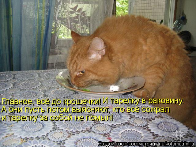 Котоматрица: Главное, всё до крошечки! И тарелку в раковину.  А они пусть потом выясняют, кто всё сожрал и тарелку за собой не помыл!
