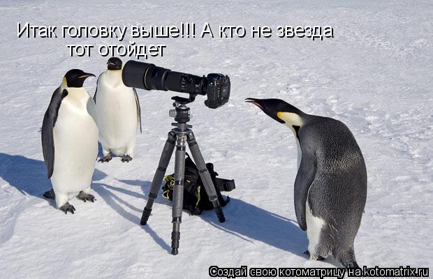 Котоматрица: Итак головку выше!!! А кто не звезда тот отойдет