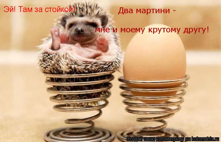 Эй! Там за стойкой! Два мартини - мне и моему крутому другу!... Котоматрица: Эй! Там за стойкой! Два мартини - мне и моему крутому другу!