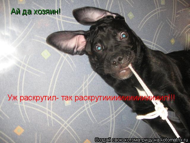 Котоматрица: Ай да хозяин! Уж раскрутил- так раскрутиииииииииииииил!!!