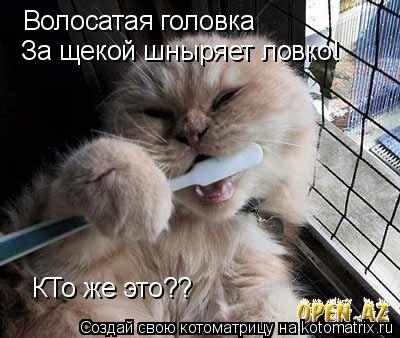 Котоматрица: Волосатая головка За щекой шныряет ловко! КТо же это??