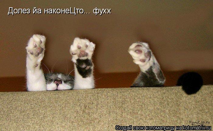 Котоматрица: Долез йа наконеЦто... фухх