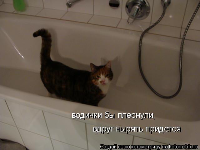 Котоматрица: водички бы плеснули, вдруг нырять придется