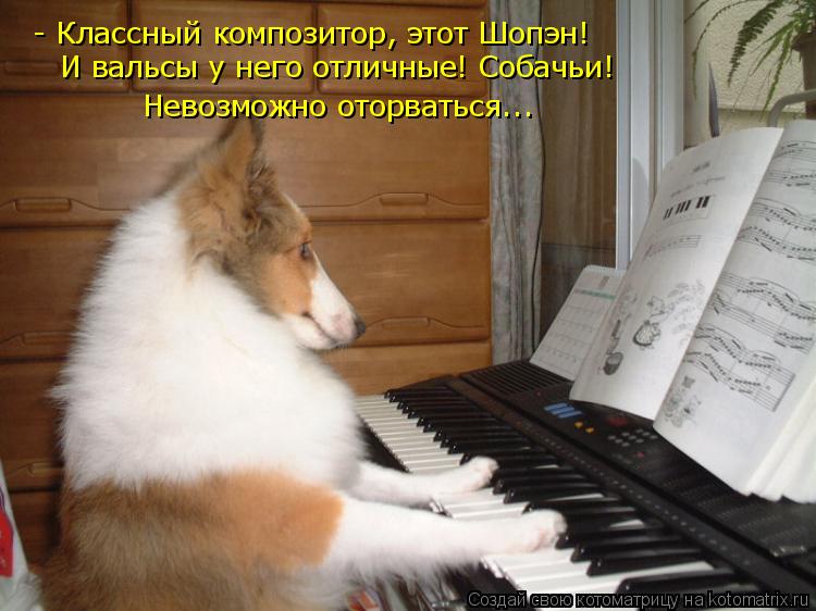 - Классный композитор, этот Шопэн! И вальсы у него отличные! Собачьи! Невозможно оторваться...... Котоматрица: - Классный композитор, этот Шопэн! И вальсы у него отличные! Собачьи! Невозможно оторваться...
