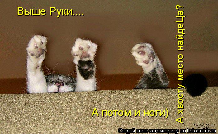 Котоматрица: Выше Руки.... А потом и ноги) А хвосту место найдеЦа?