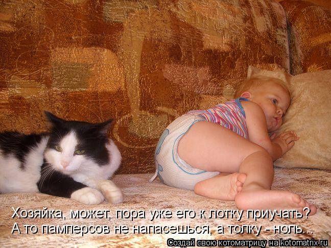 Котоматрица: Хозяйка, может, пора уже его к лотку приучать? А то памперсов не напасешься, а толку - ноль...