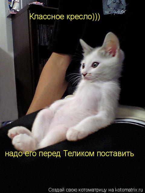 Котоматрица: Классное кресло))) надо его перед Теликом поставить
