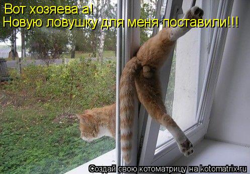 Котоматрица: Вот хозяева а! новую ловушку поставили Вот хозяева а! Новую ловушку для меня поставили!!!