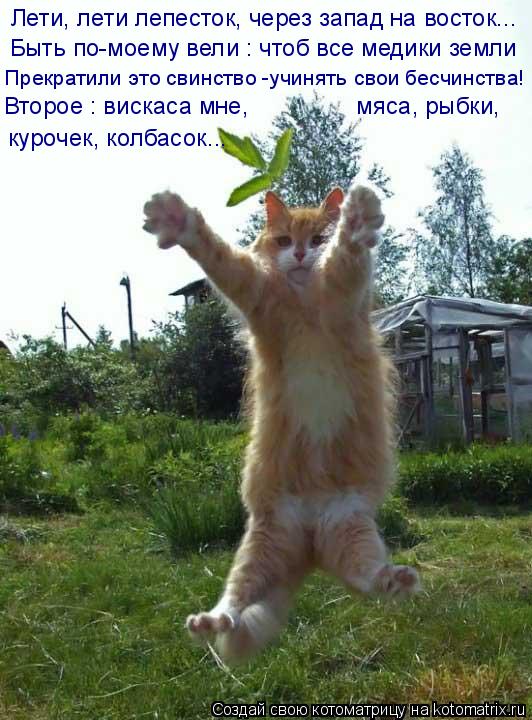 Котоматрица: Быть по-моему вели : чтоб все медики земли Лети, лети лепесток, через запад на восток... курочек, колбасок... Прекратили это свинство -учинять с