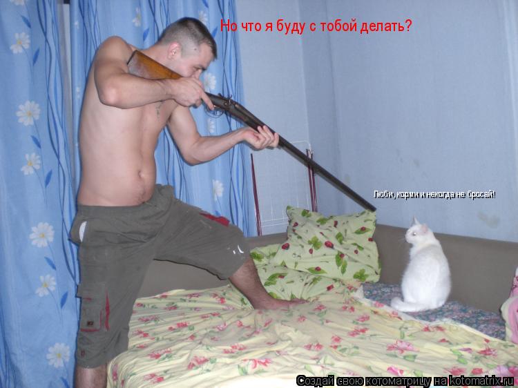 Котоматрица: Но что я буду с тобой делать? Люби, корми и некогда не бросай!