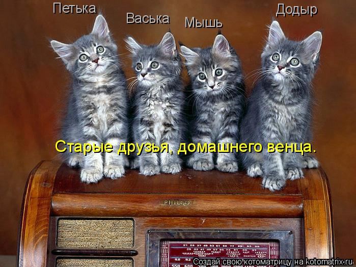 Котоматрица: Петька Васька Мышь Додыр Старые друзья, домашнего венца.