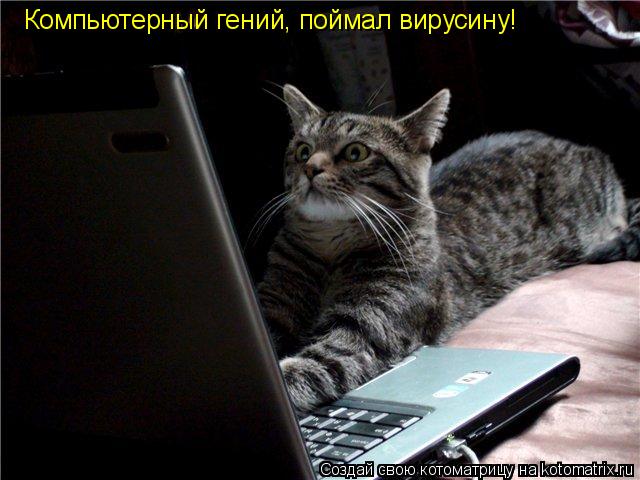 Котоматрица: Компьютерный гений, поймал вирусину!