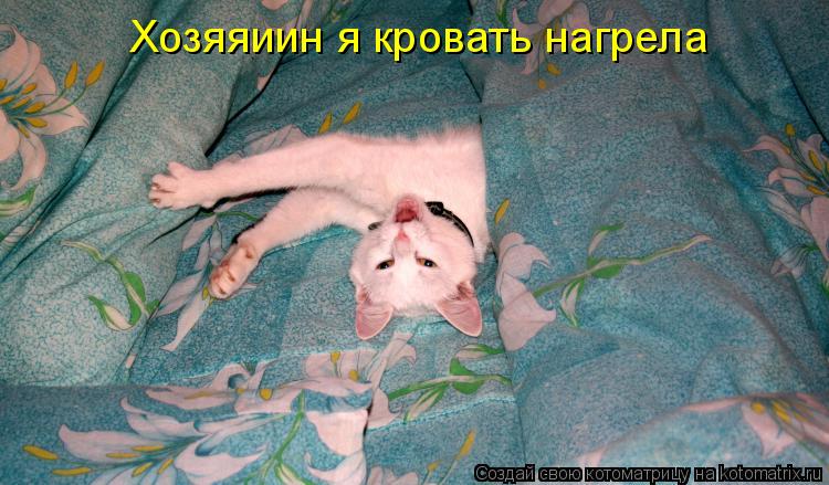Котоматрица: Хозяяиин я кровать нагрела