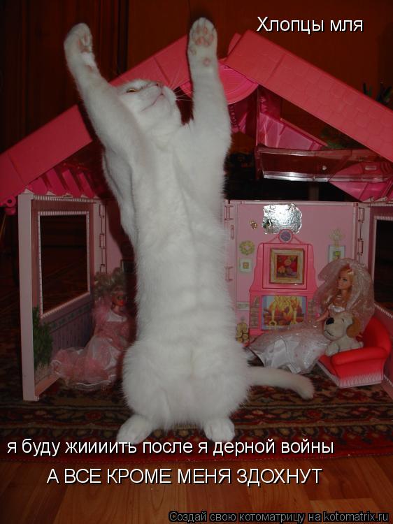 Котоматрица: Хлопцы мля я буду жиииить после я дерной войны А ВСЕ КРОМЕ МЕНЯ ЗДОХНУТ