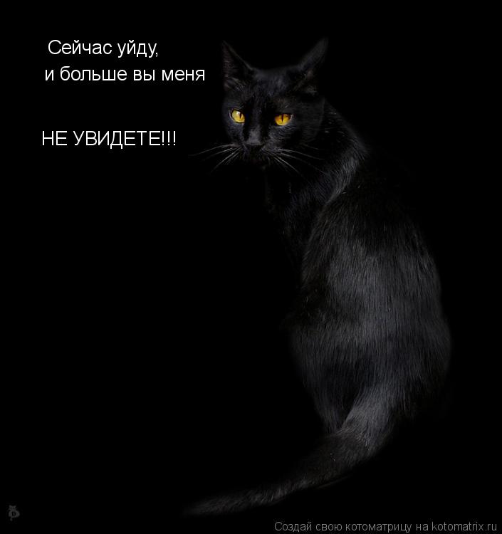 Котоматрица: Сейчас уйду, и больше вы меня НЕ УВИДЕТЕ!!!